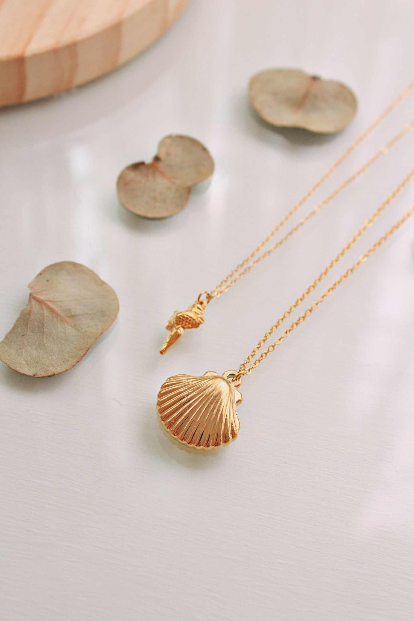 Cadena Shell redonda 🐚