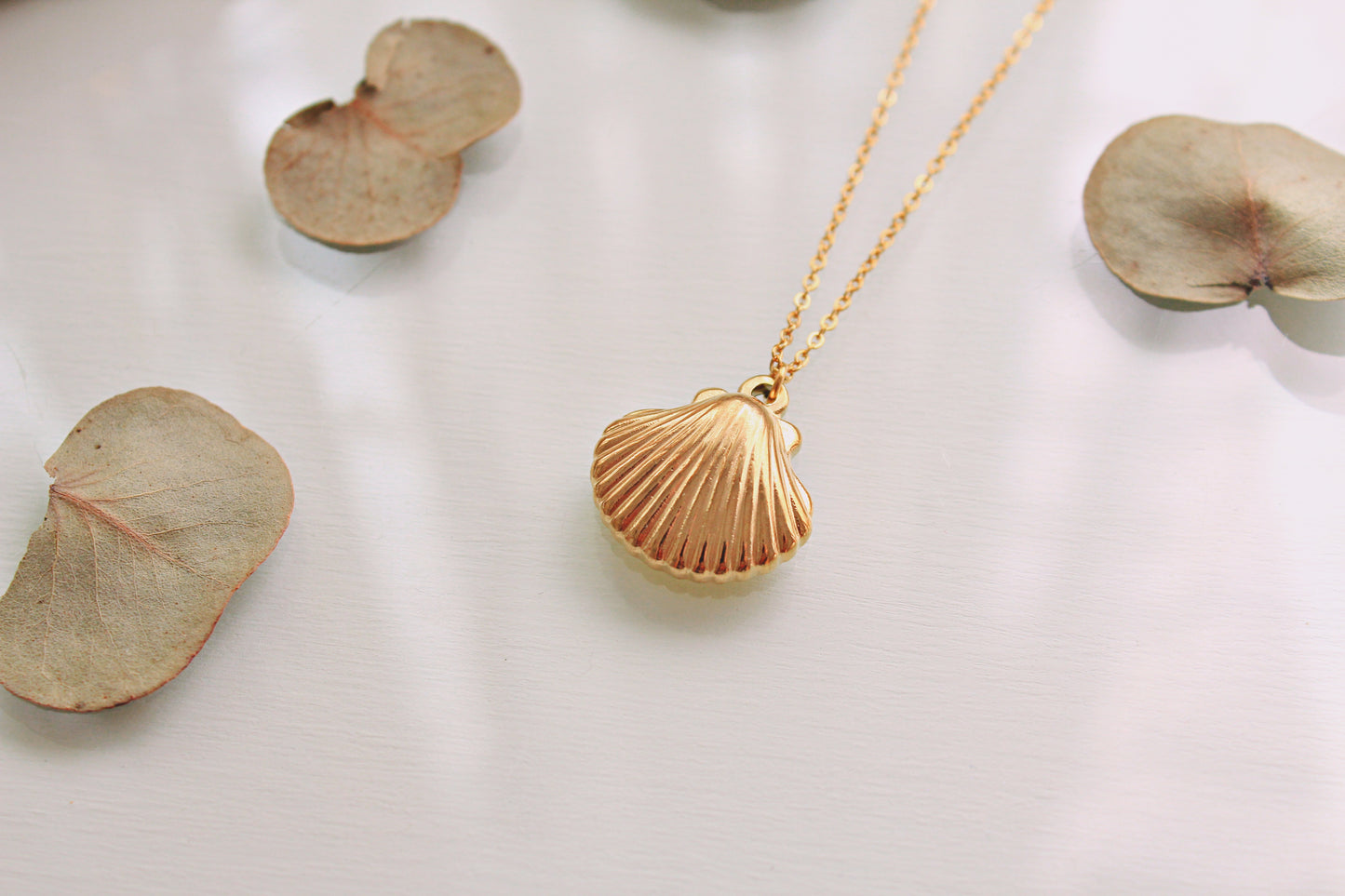 Cadena Shell redonda 🐚